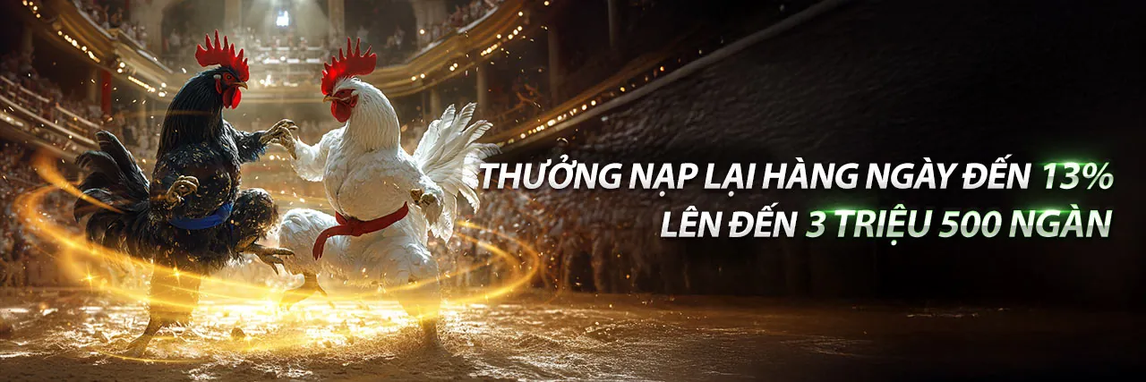 Đấu trường đá gà trực tuyến king 79
